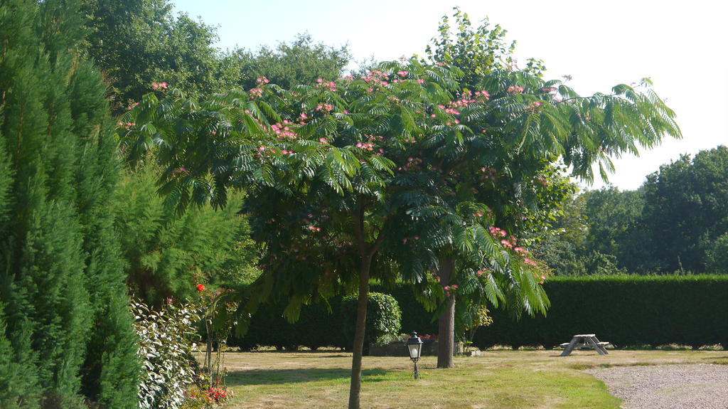 Chambres D'Hotes Les Sageais Baguer-Morvan Luaran gambar